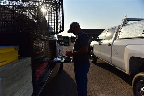 Pest Control Specialist Whiteman .